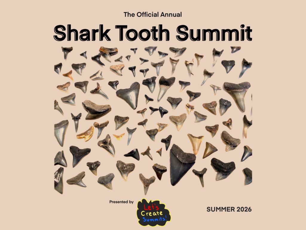 Shark teeth images with company logo and shark tooth summit 